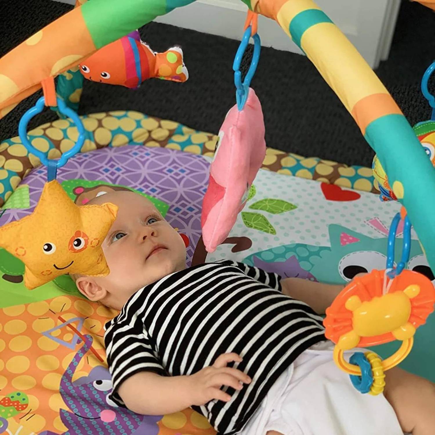 Baby Play Gym