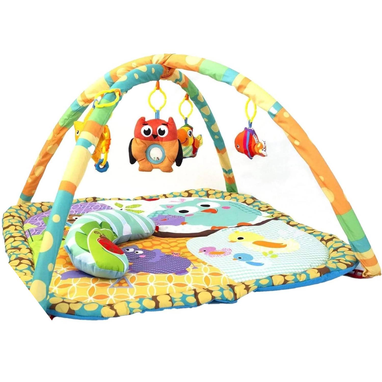 Baby Play Gym